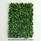 11 sq ft Green Large Boxwood Leaves 11UV Protected Wall Backdrop Panels Wedding